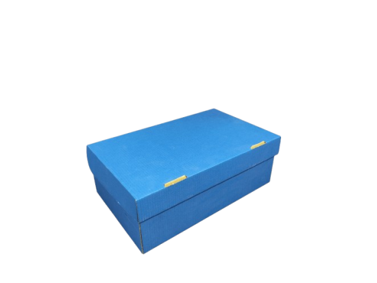 BOITE 31*19*11 CM BLEU (50 PCS)